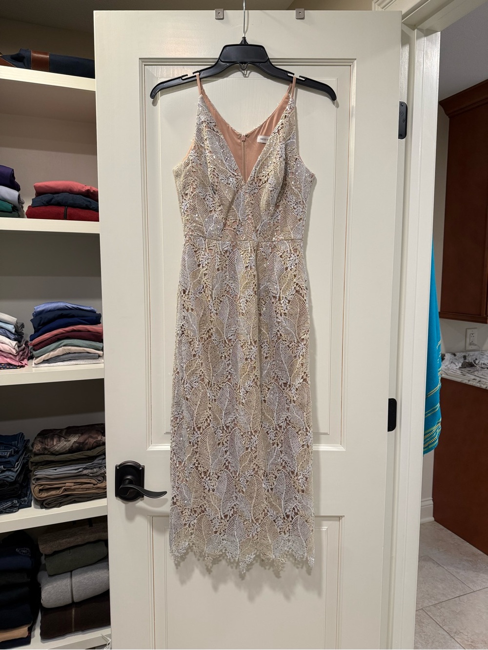Dress the Population Sleeveless Metallic Lace Dress